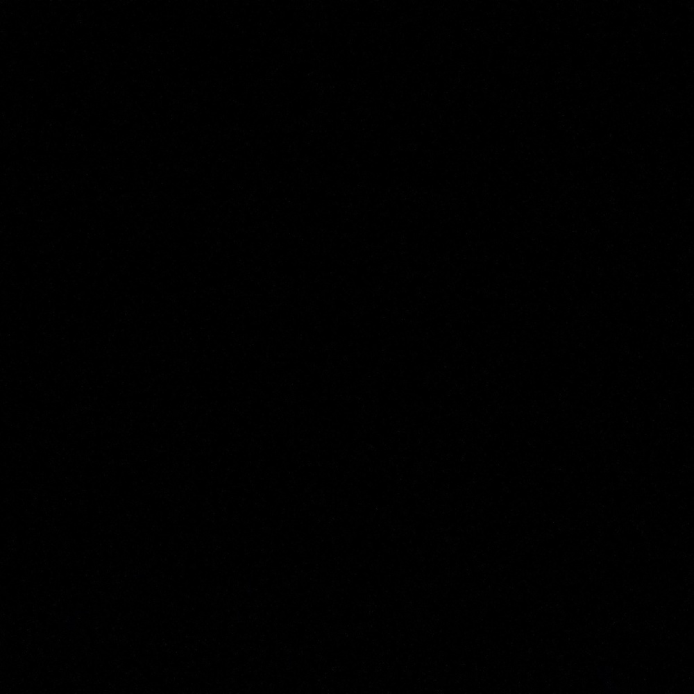 NWT Free People Crew Neck